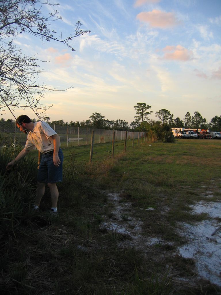 IMG_6952.jpg