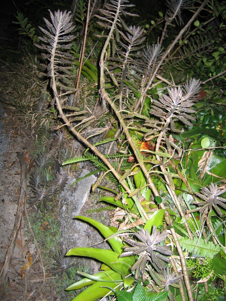 IMG_6965.jpg
