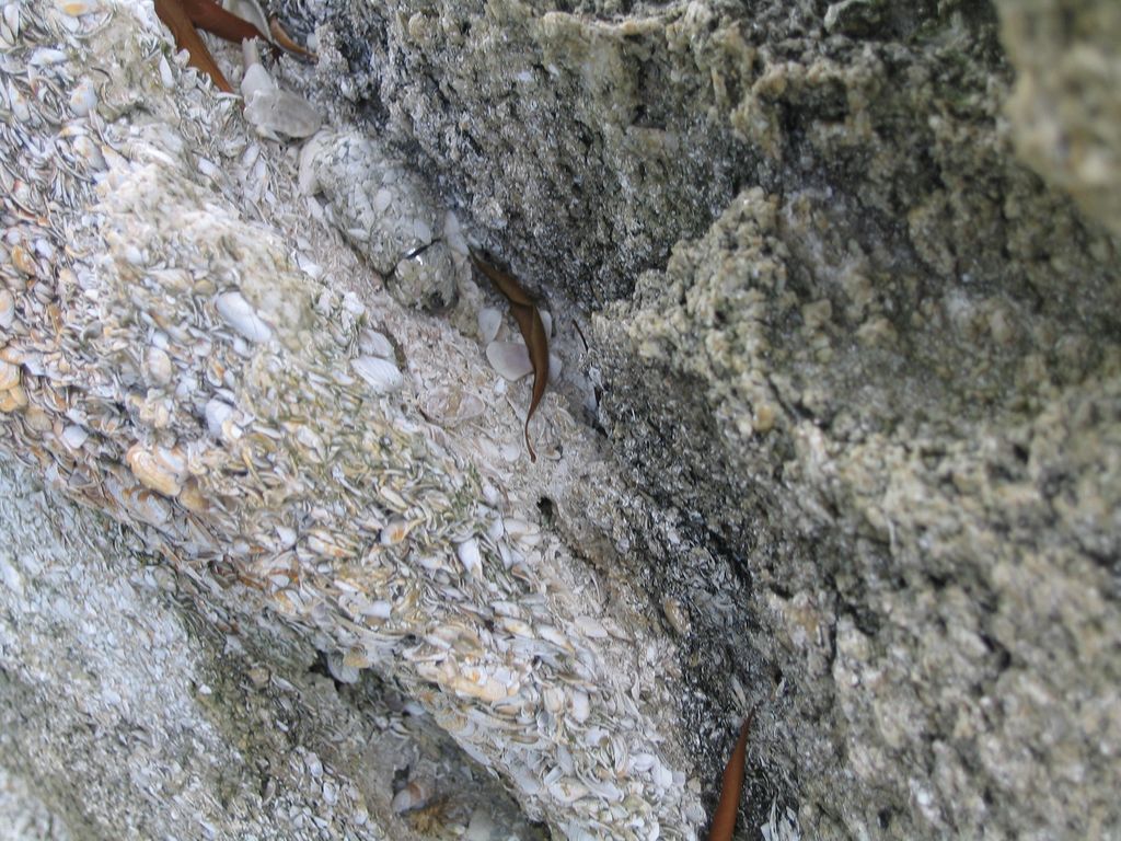 IMG_6969.jpg