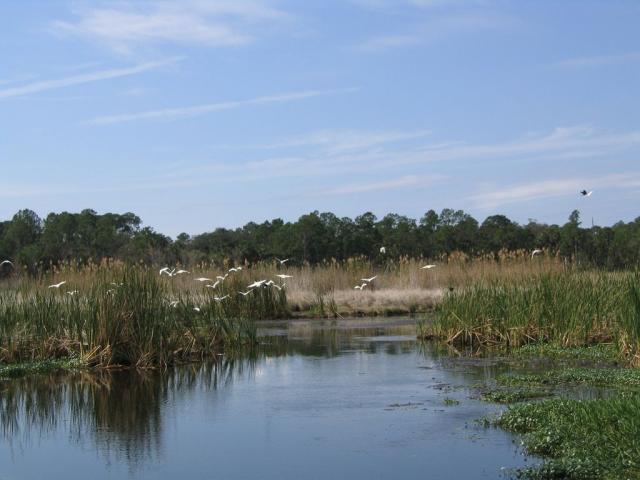 IMG_7038.jpg