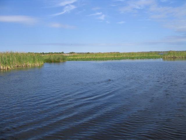 IMG_7044.jpg