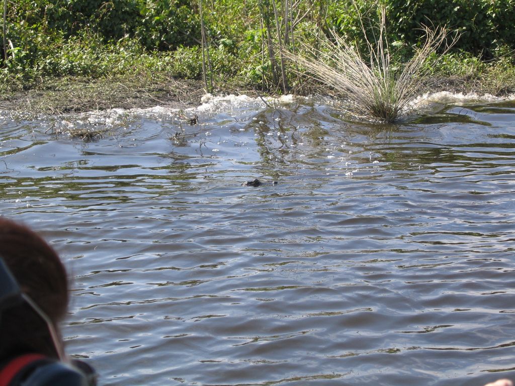 IMG_7064.jpg