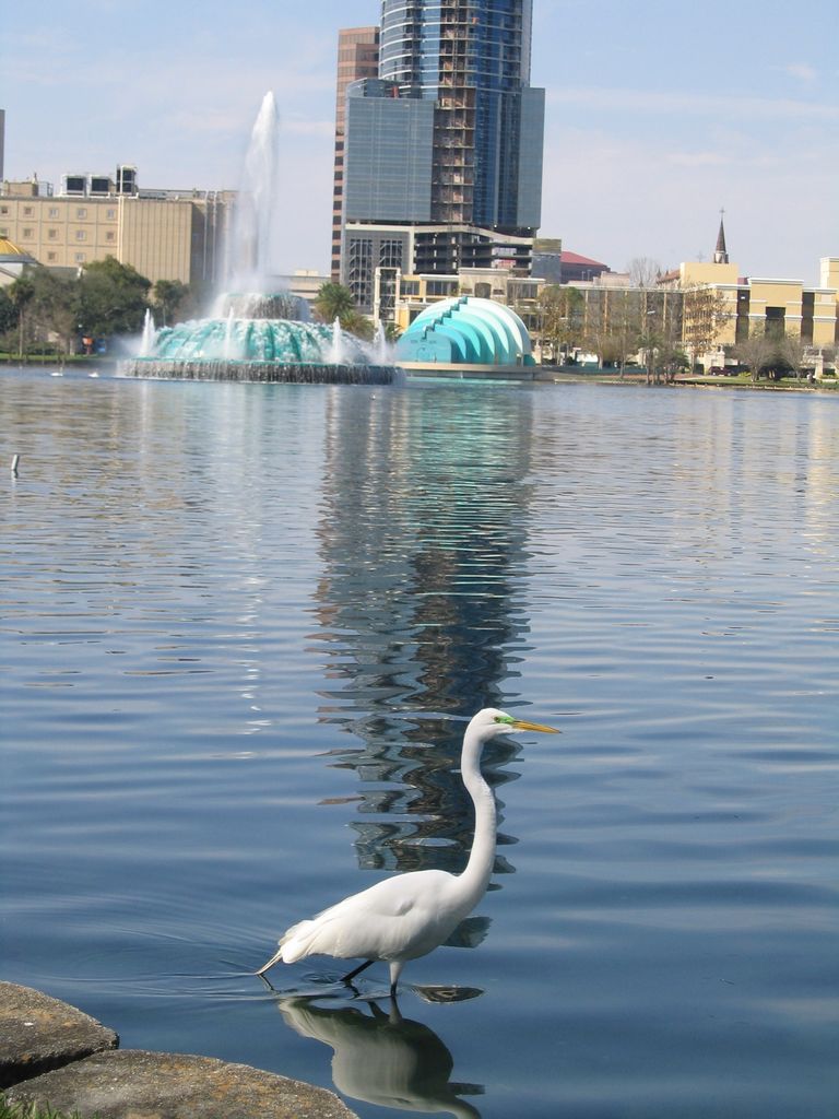 IMG_7083.jpg