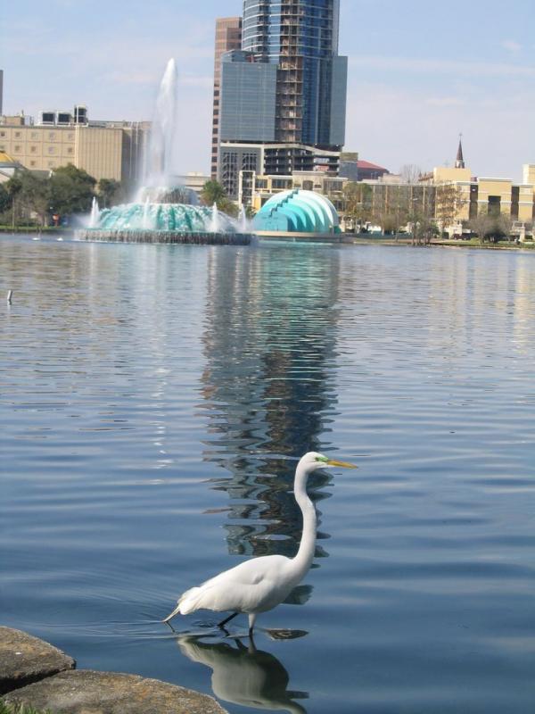IMG_7083.jpg