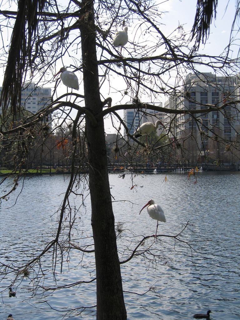 IMG_7087.jpg