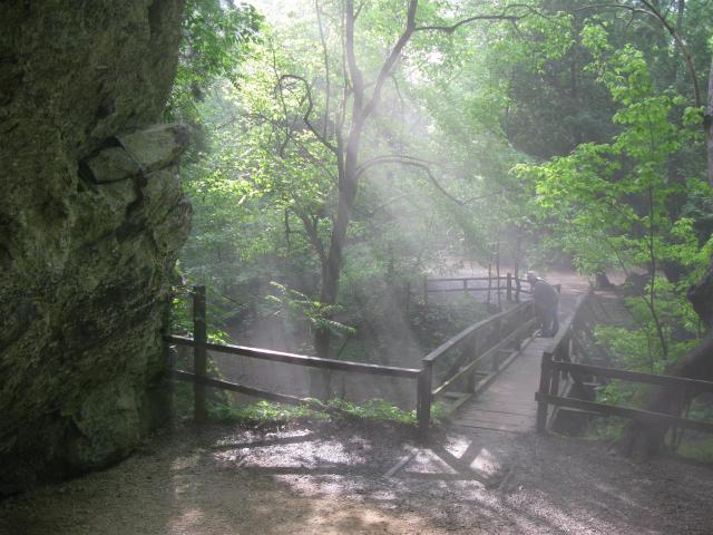 Sun effects over the Cedar Creek