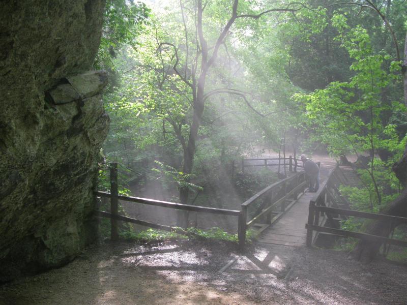 Sun effects over the Cedar Creek