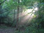 Final Glory Beams