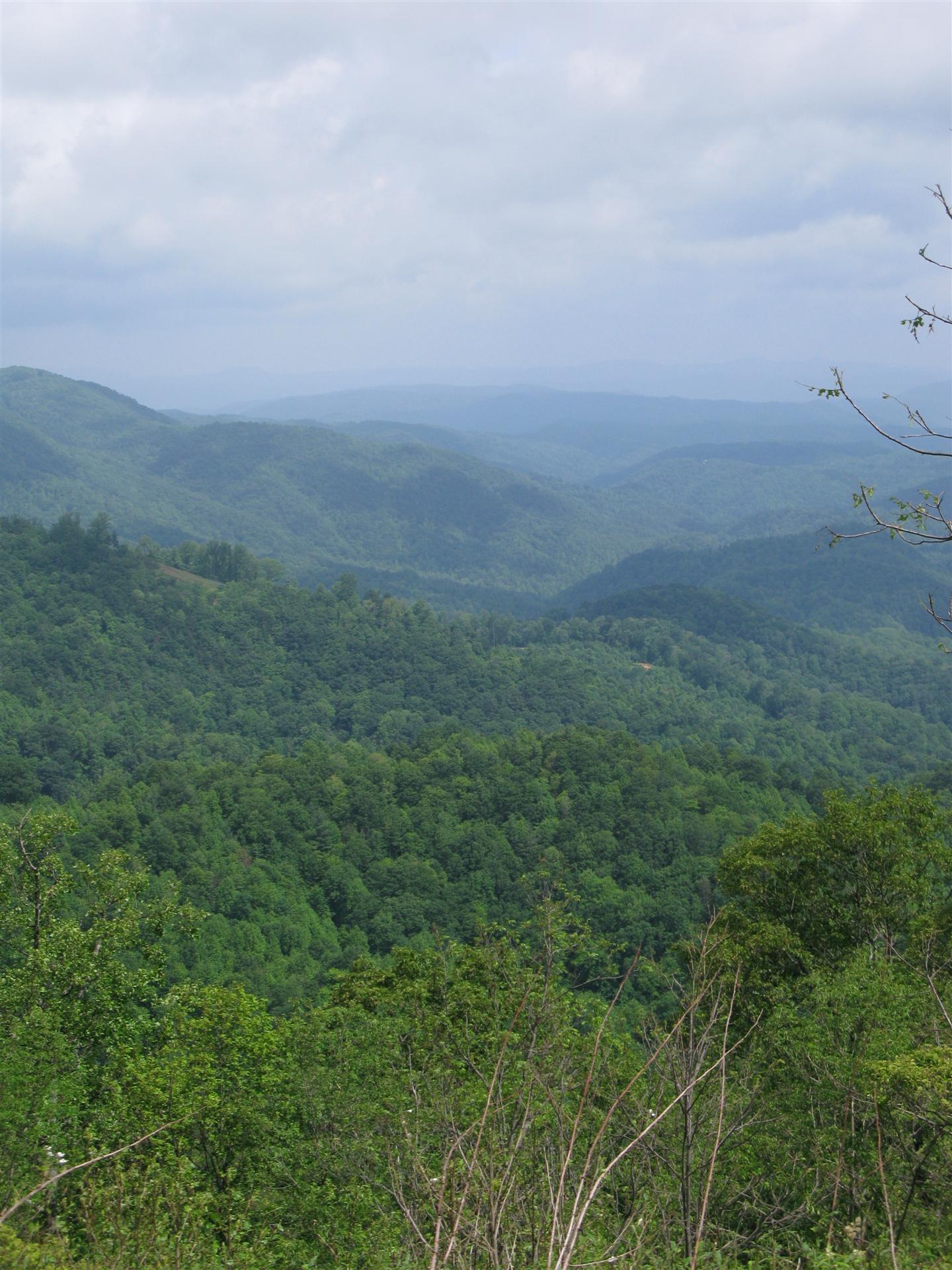 View from the Blue Ridge Parkway