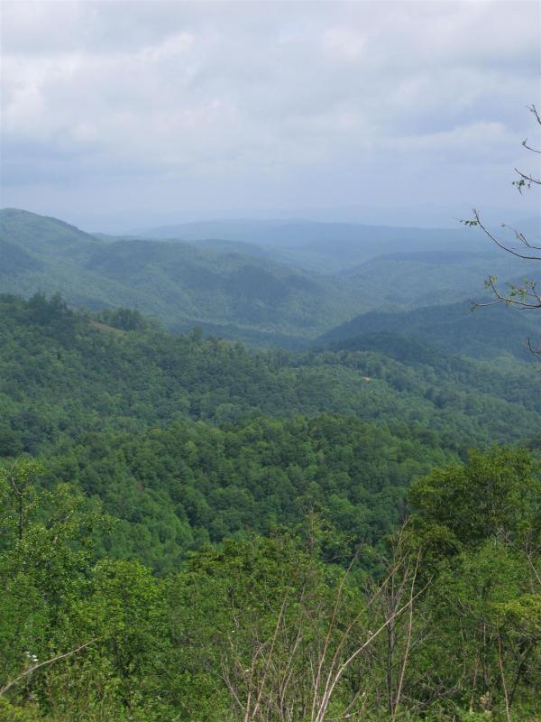 View from the Blue Ridge Parkway