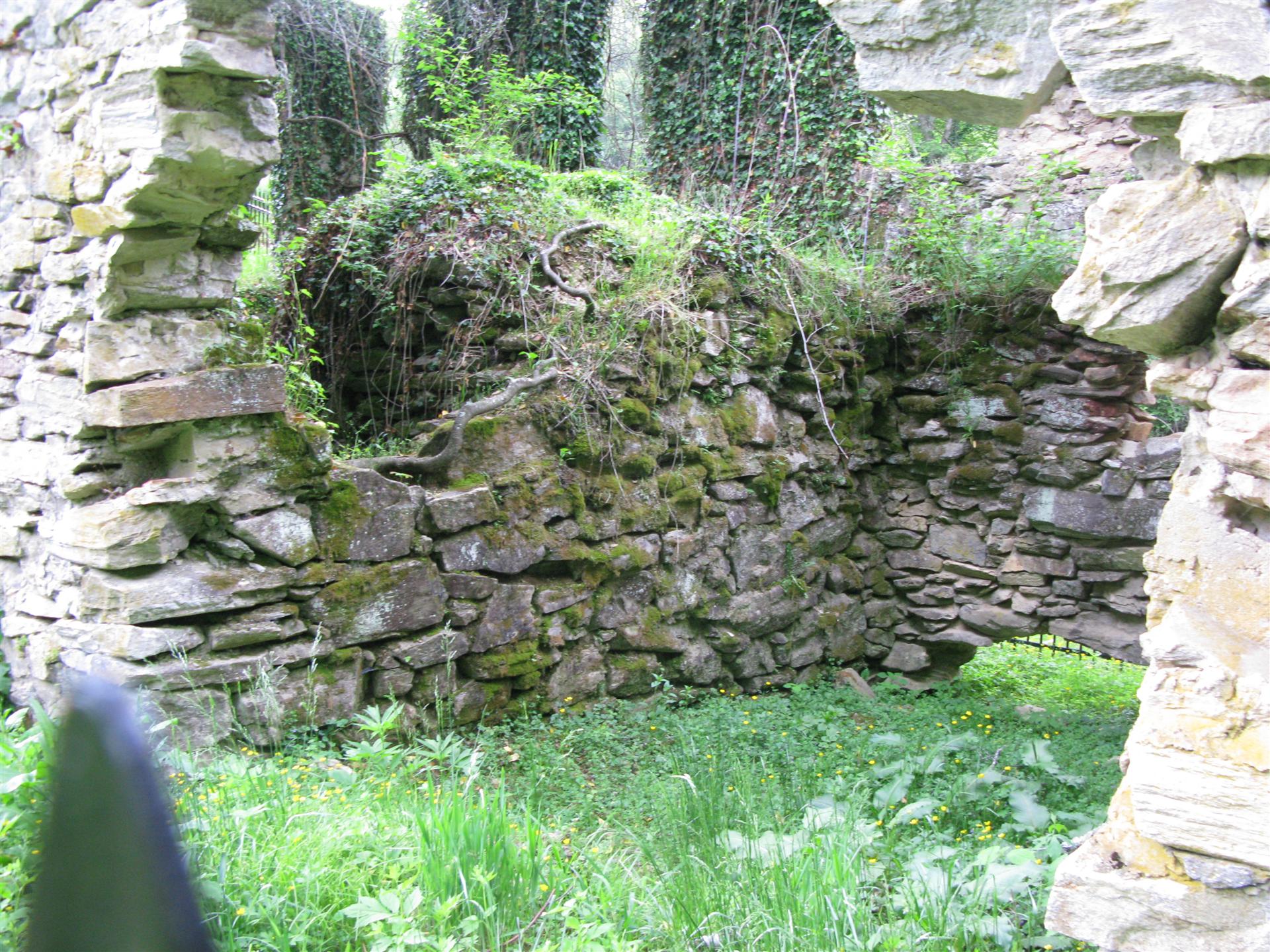 Ruins of the Hydro-electric Powerstation
