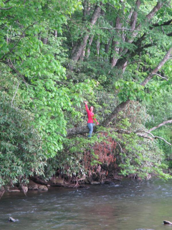 Heather hanging out over the stream