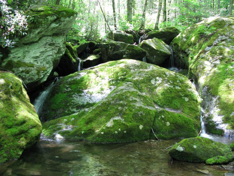 Mountain Stream - Grandfather Mtn Profile Trail