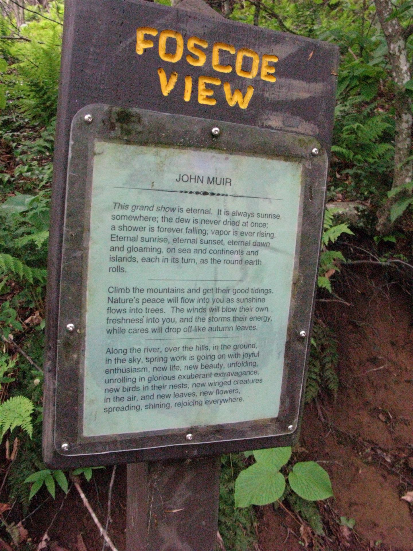 Foscoe View - Profile Trail