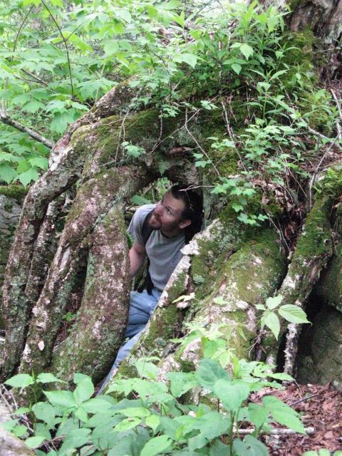 Save me Tom Bombadil!