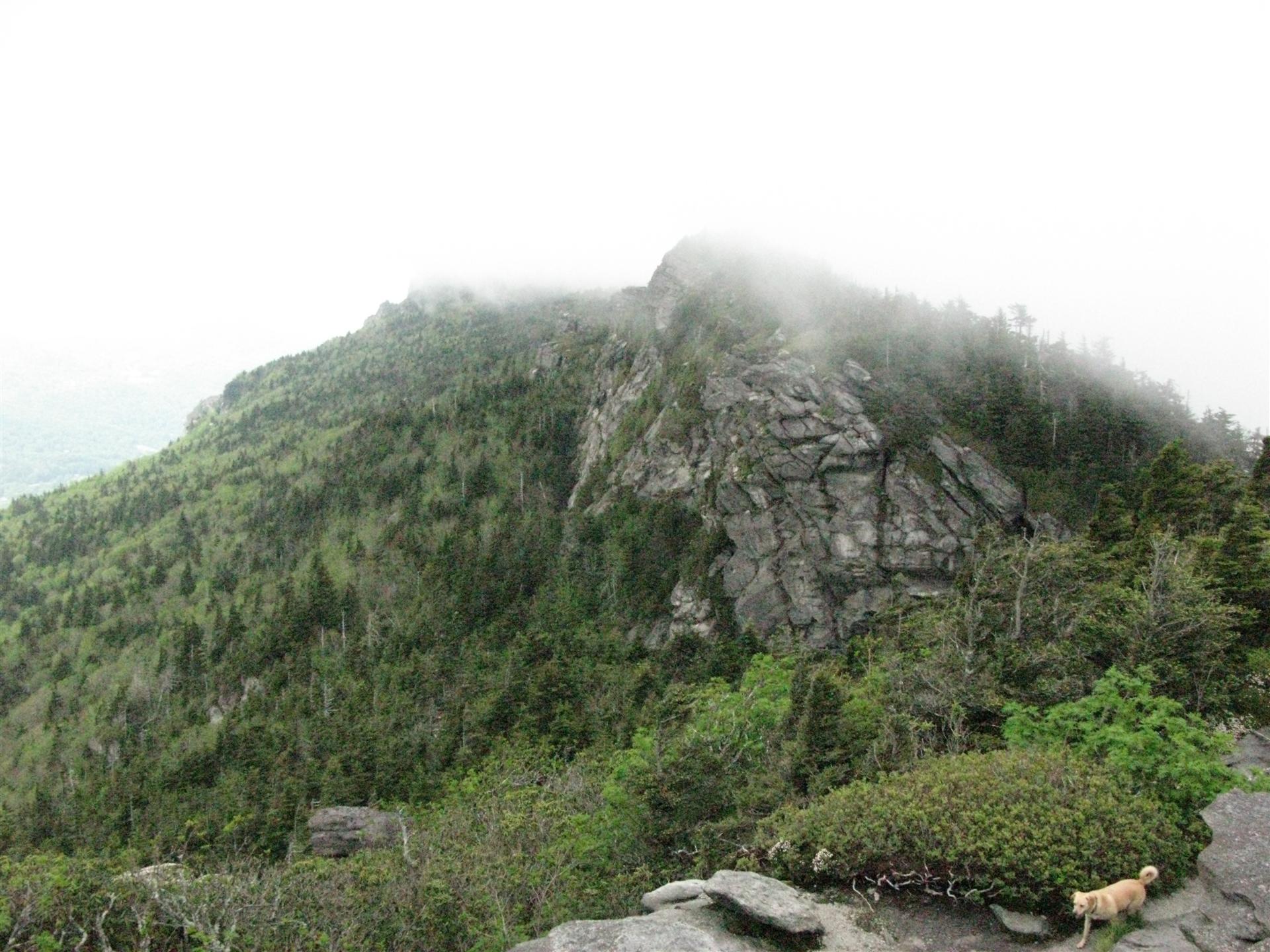 Cali & Grandfather's Peak