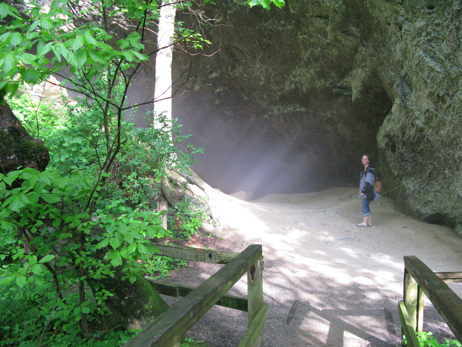 Heather Beams in the Saltpetre Cave