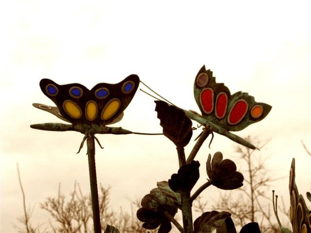 butterfly2.jpg
