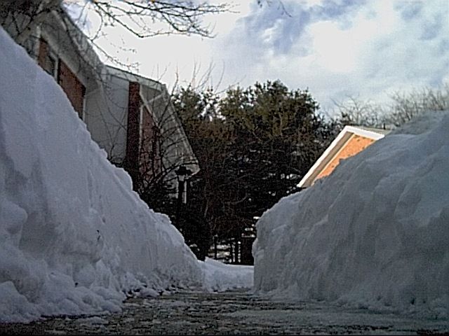 Image2.jpg