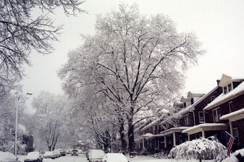Image12.jpg