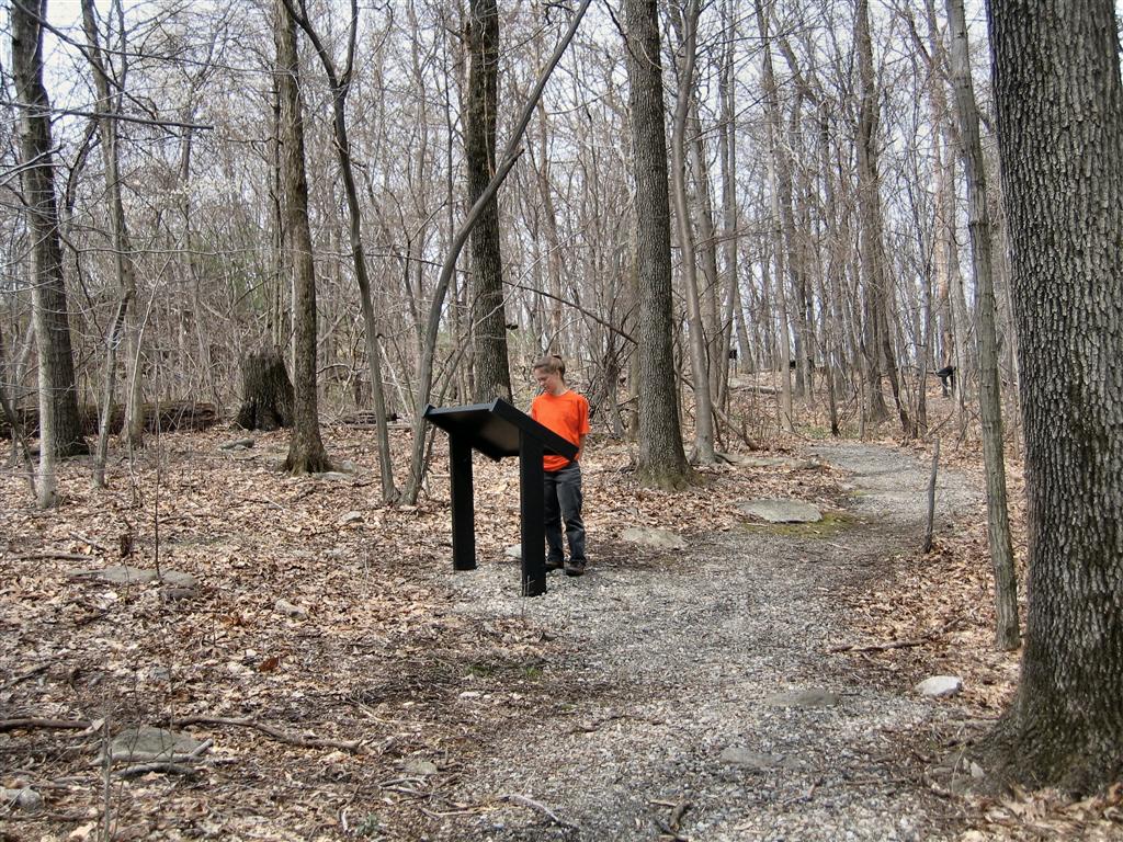 Nature Walk