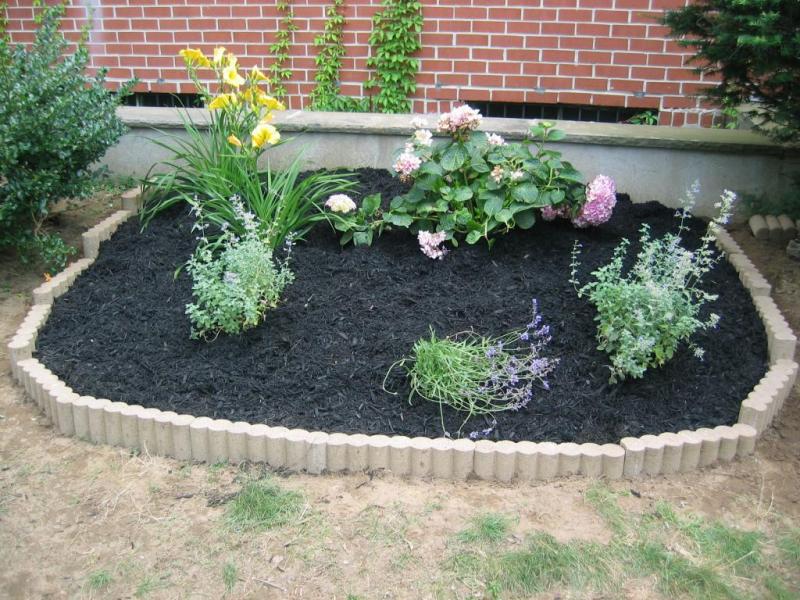 The Garden